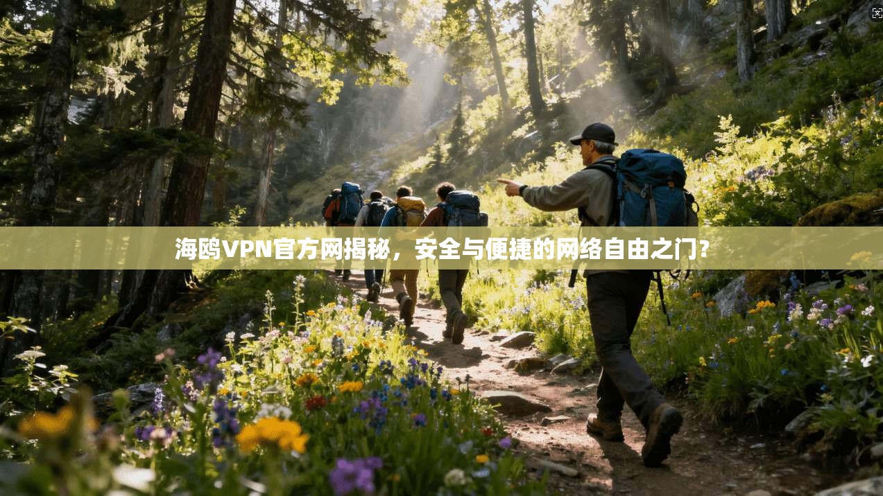 海鸥VPN官方网揭秘,安全与便捷的网络自由之门?