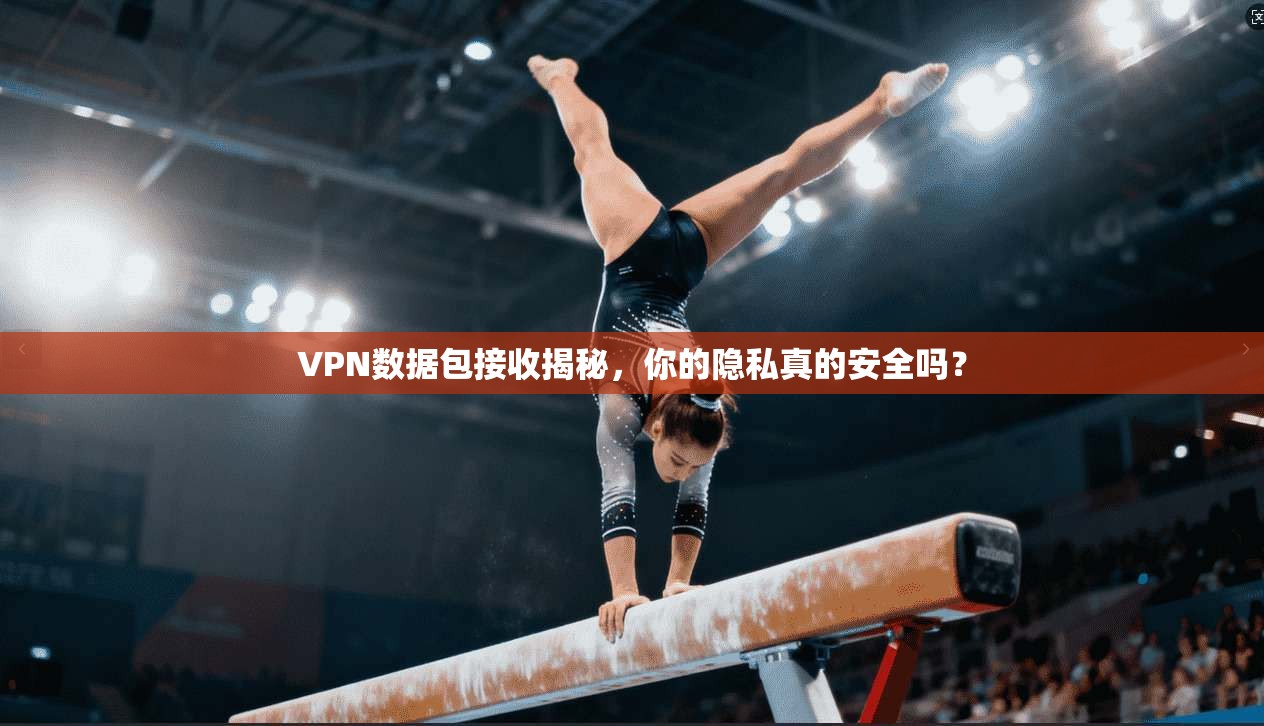 VPN数据包接收揭秘,你的隐私真的安全吗?