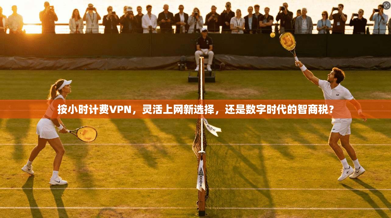 按小时计费VPN,灵活上网新选择,还是数字时代的智商税?