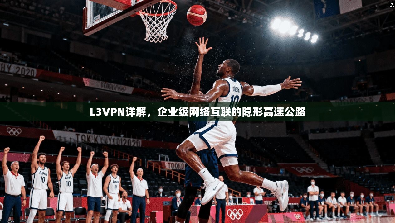 L3VPN详解，企业级网络互联的隐形高速公路