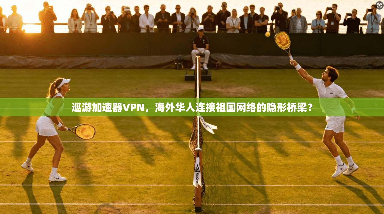 巡游加速器VPN,海外华人连接祖国网络的隐形桥梁?