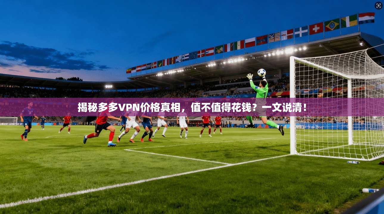 揭秘多多VPN价格真相,值不值得花钱?一文说清!