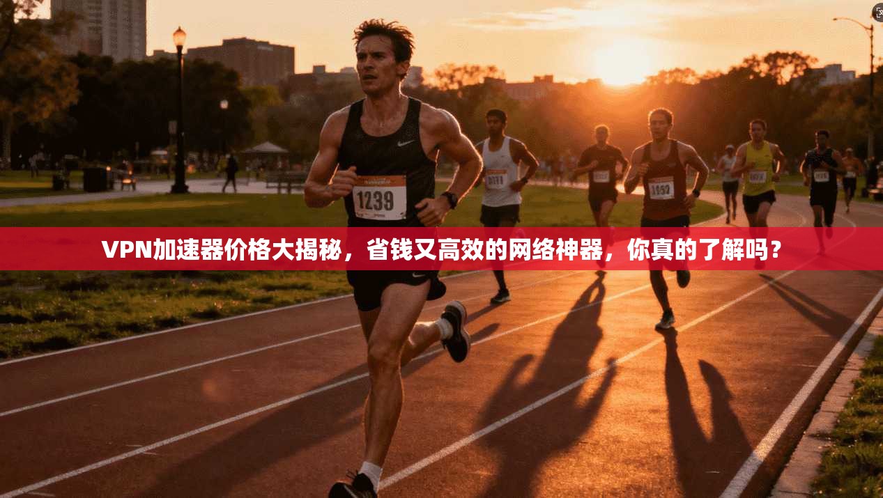 VPN加速器价格大揭秘，省钱又高效的网络神器，你真的了解吗？