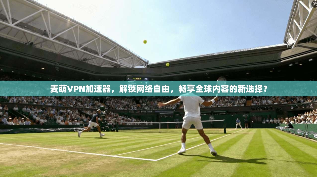 麦萌VPN加速器，解锁网络自由，畅享全球内容的新选择？