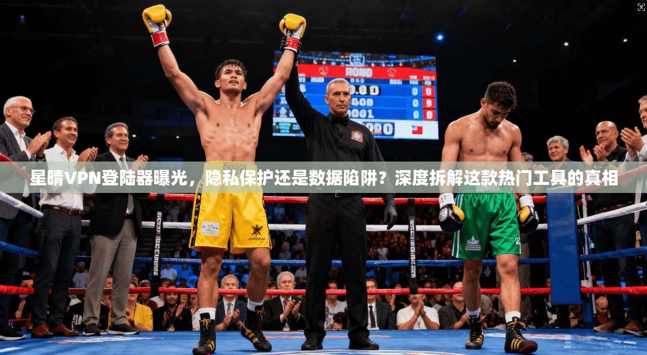 星晴VPN登陆器曝光,隐私保护还是数据陷阱?深度拆解这款热门工具的真相