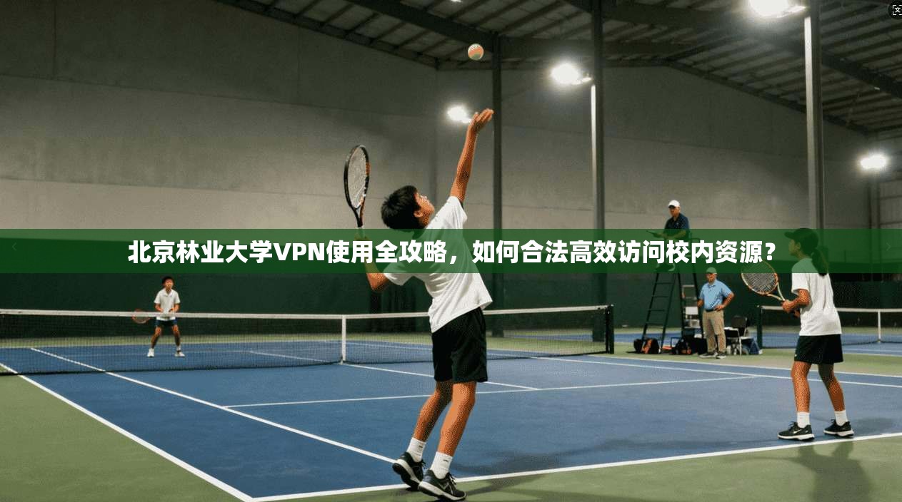 北京林业大学VPN使用全攻略，如何合法高效访问校内资源？