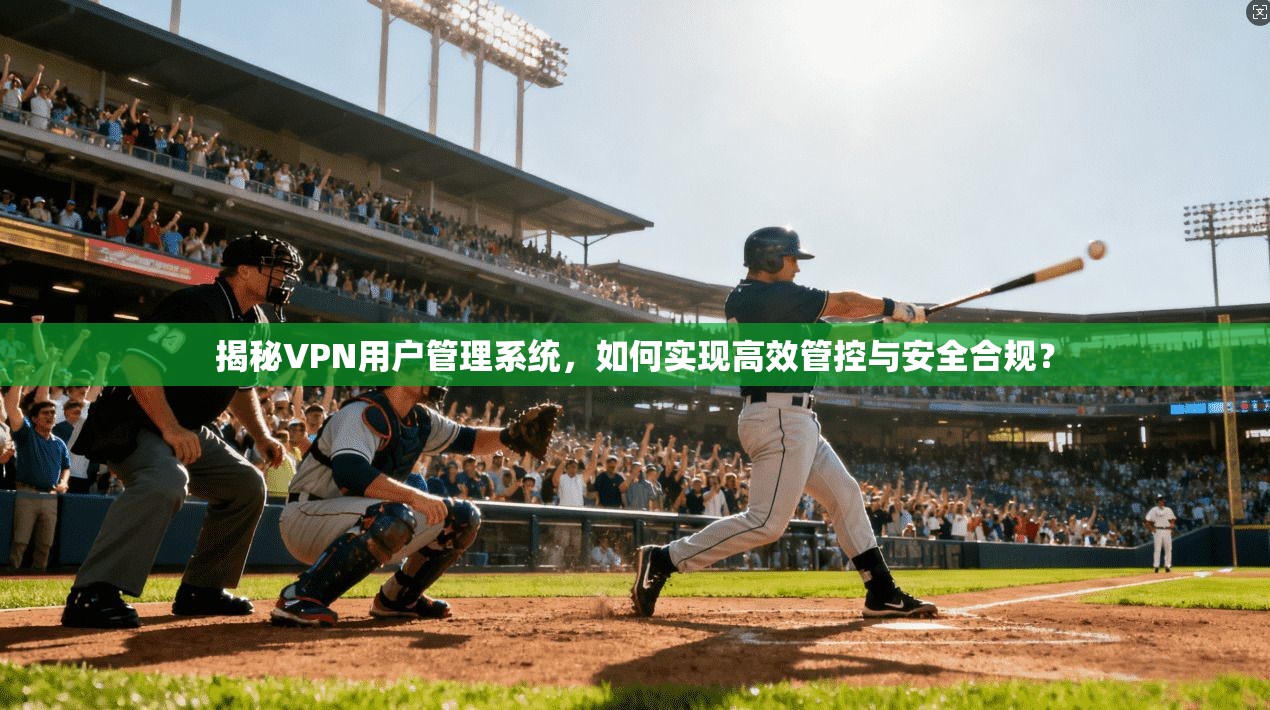 揭秘VPN用户管理系统，如何实现高效管控与安全合规？