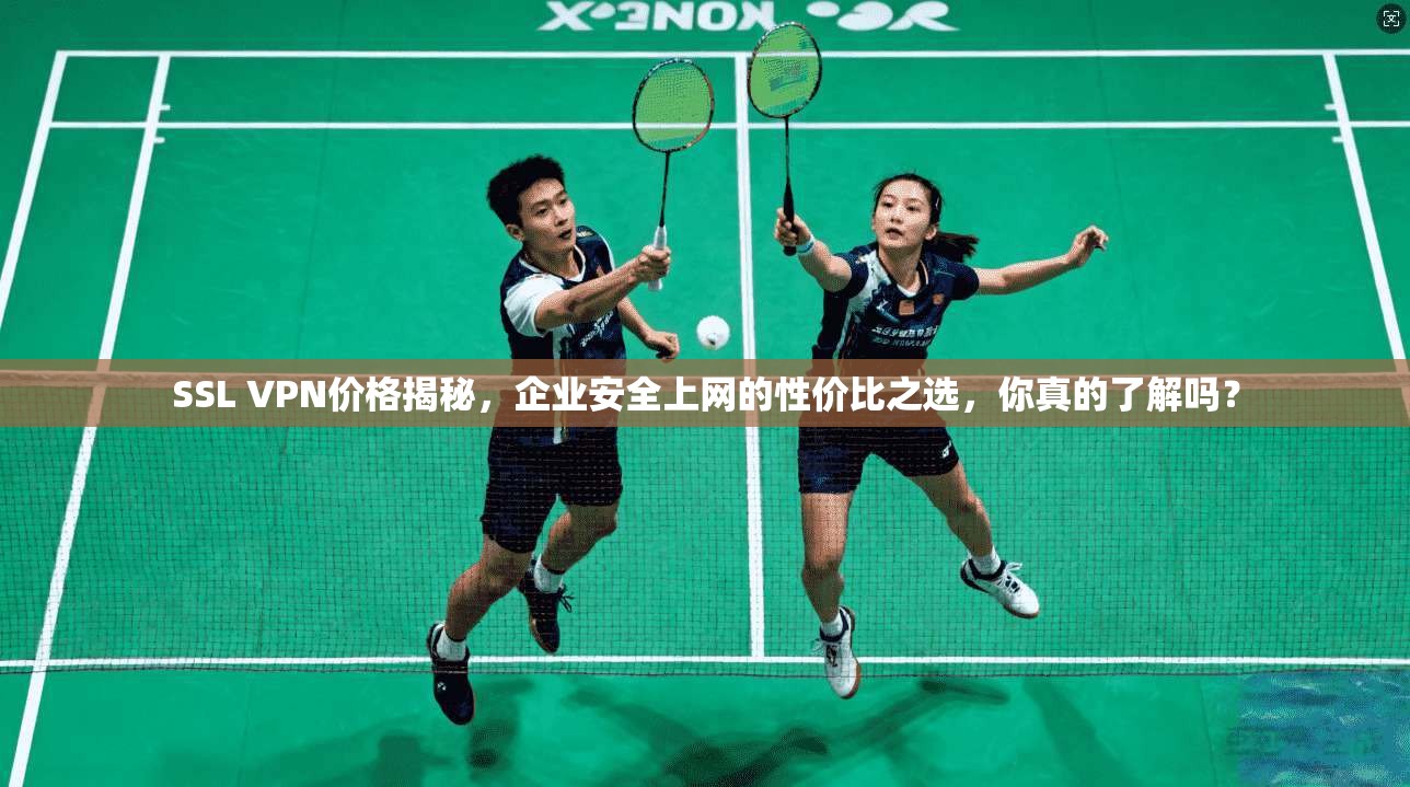 SSL VPN价格揭秘，企业安全上网的性价比之选，你真的了解吗？