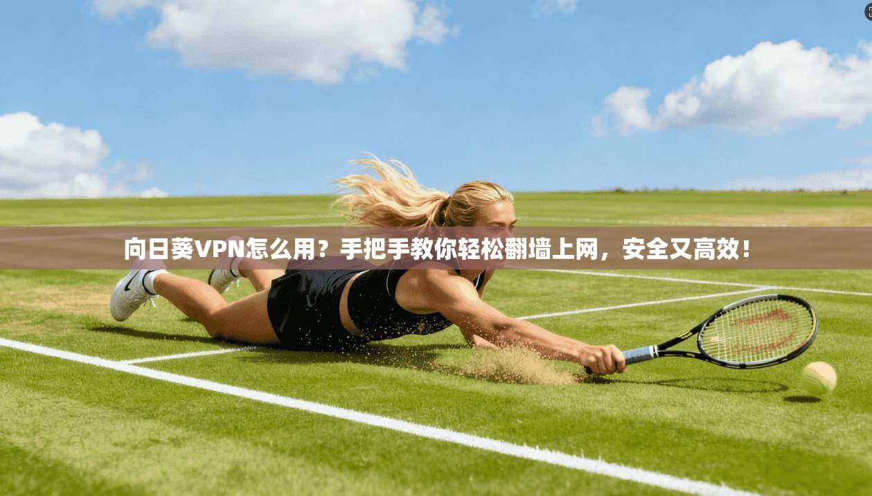 向日葵VPN怎么用？手把手教你轻松翻墙上网，安全又高效！