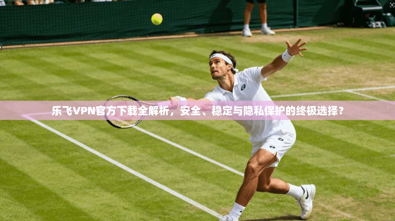 乐飞VPN官方下载全解析，安全、稳定与隐私保护的终极选择？