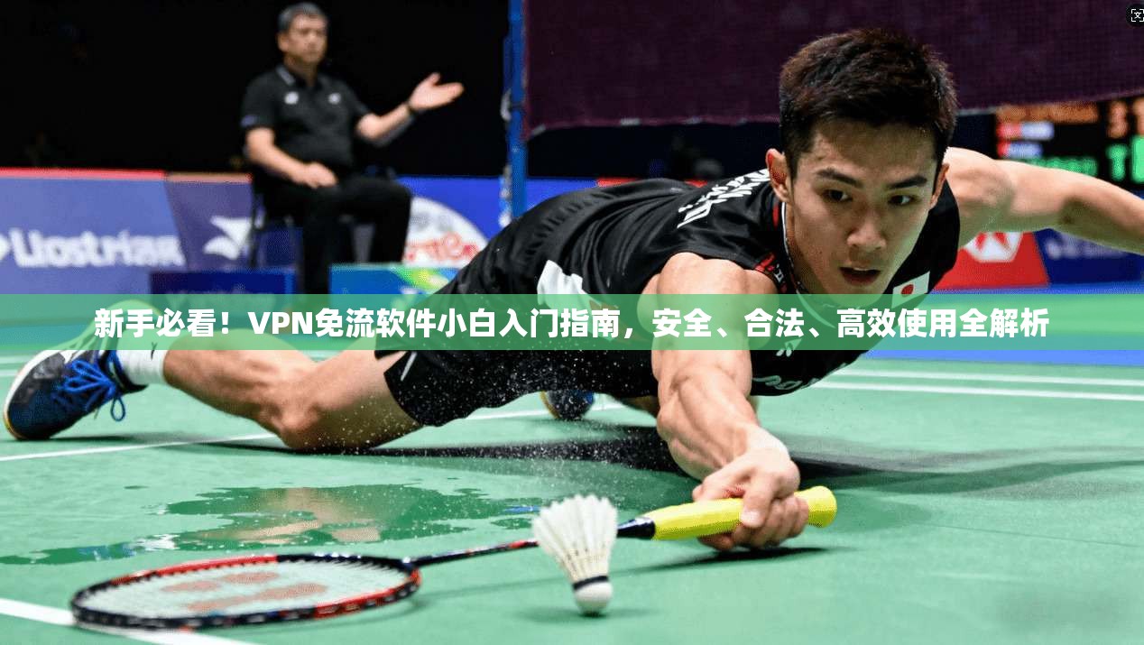 新手必看！VPN免流软件小白入门指南，安全、合法、高效使用全解析