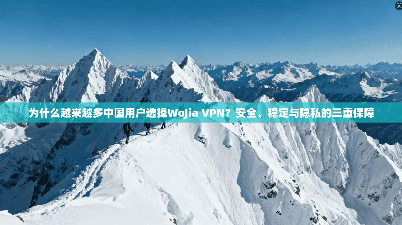 为什么越来越多中国用户选择WoJia VPN？安全、稳定与隐私的三重保障