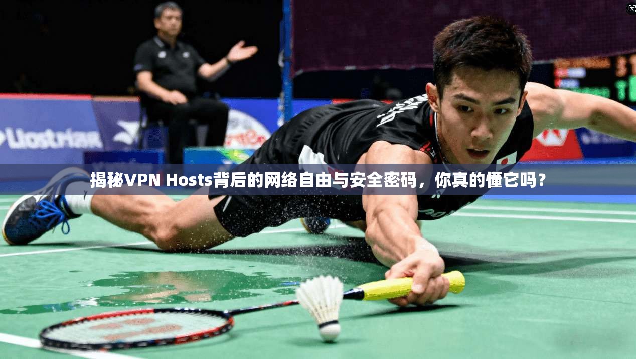 揭秘VPN Hosts背后的网络自由与安全密码，你真的懂它吗？