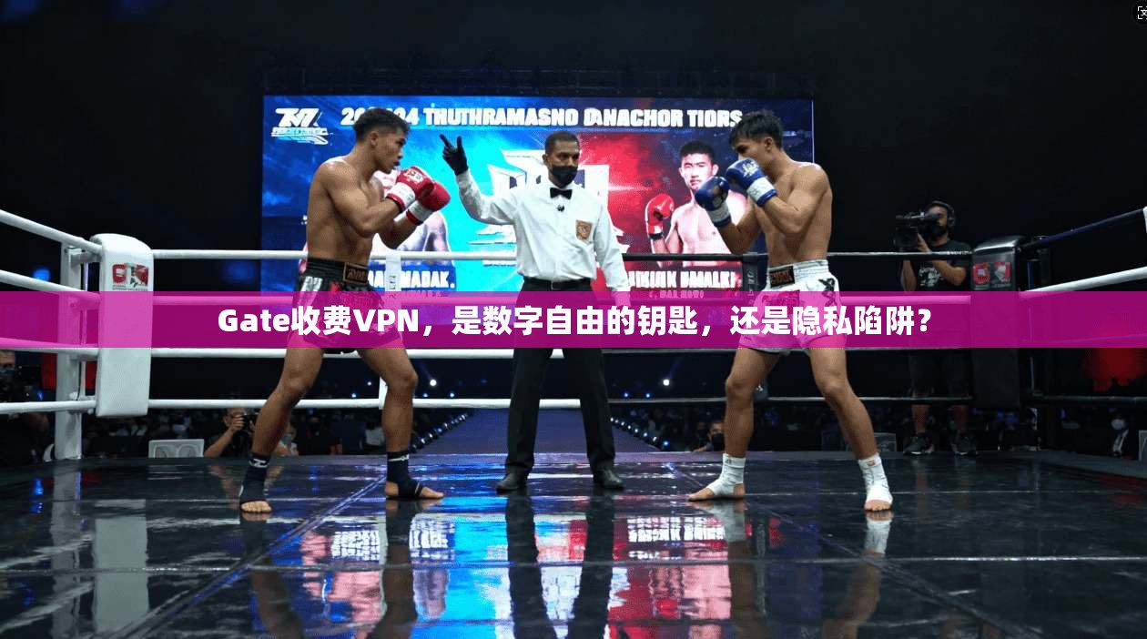 Gate收费VPN，是数字自由的钥匙，还是隐私陷阱？