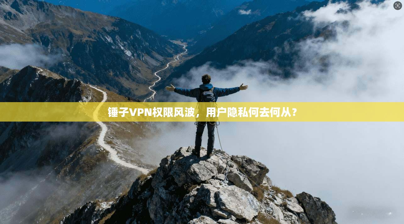 锤子VPN权限风波，用户隐私何去何从？