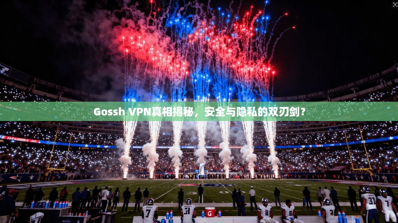 Gossh VPN真相揭秘，安全与隐私的双刃剑？