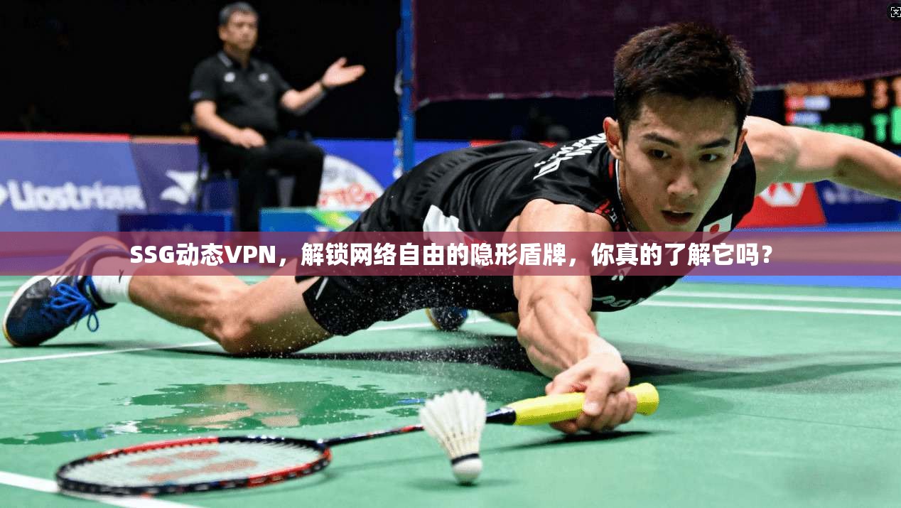 SSG动态VPN，解锁网络自由的隐形盾牌，你真的了解它吗？