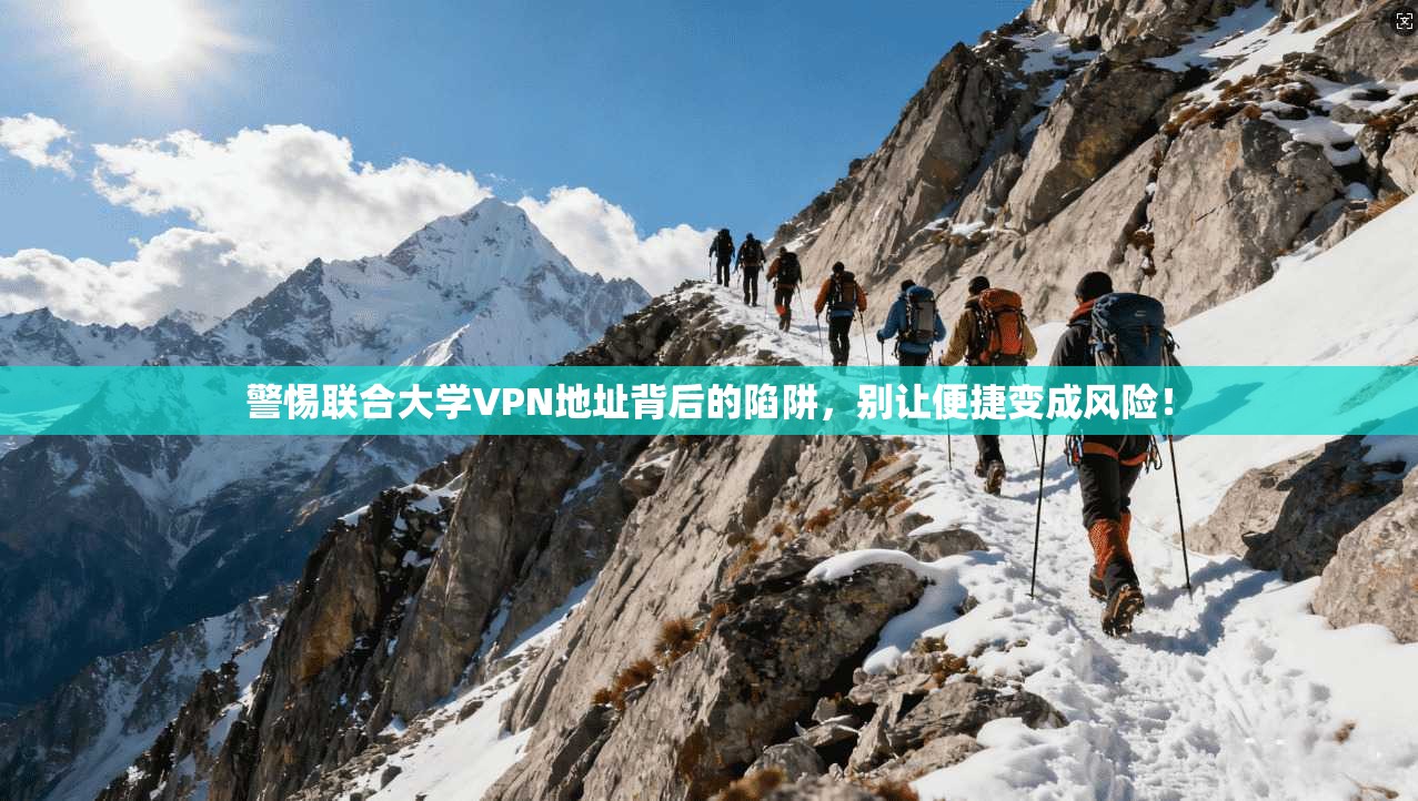 警惕联合大学VPN地址背后的陷阱，别让便捷变成风险！