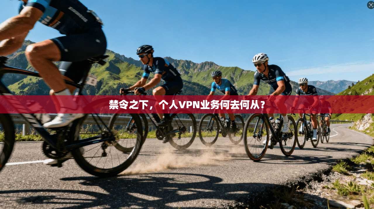 禁令之下，个人VPN业务何去何从？