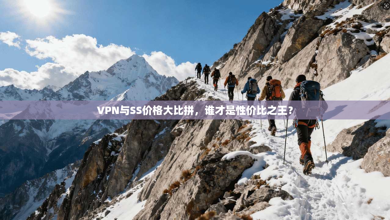 VPN与SS价格大比拼，谁才是性价比之王？