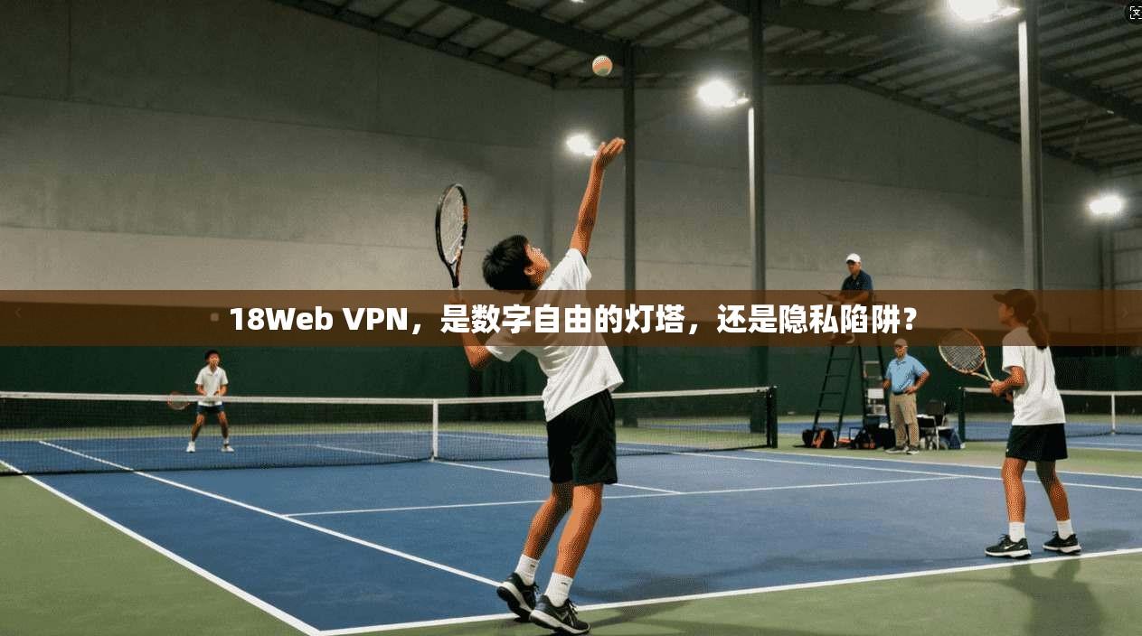 18Web VPN，是数字自由的灯塔，还是隐私陷阱？