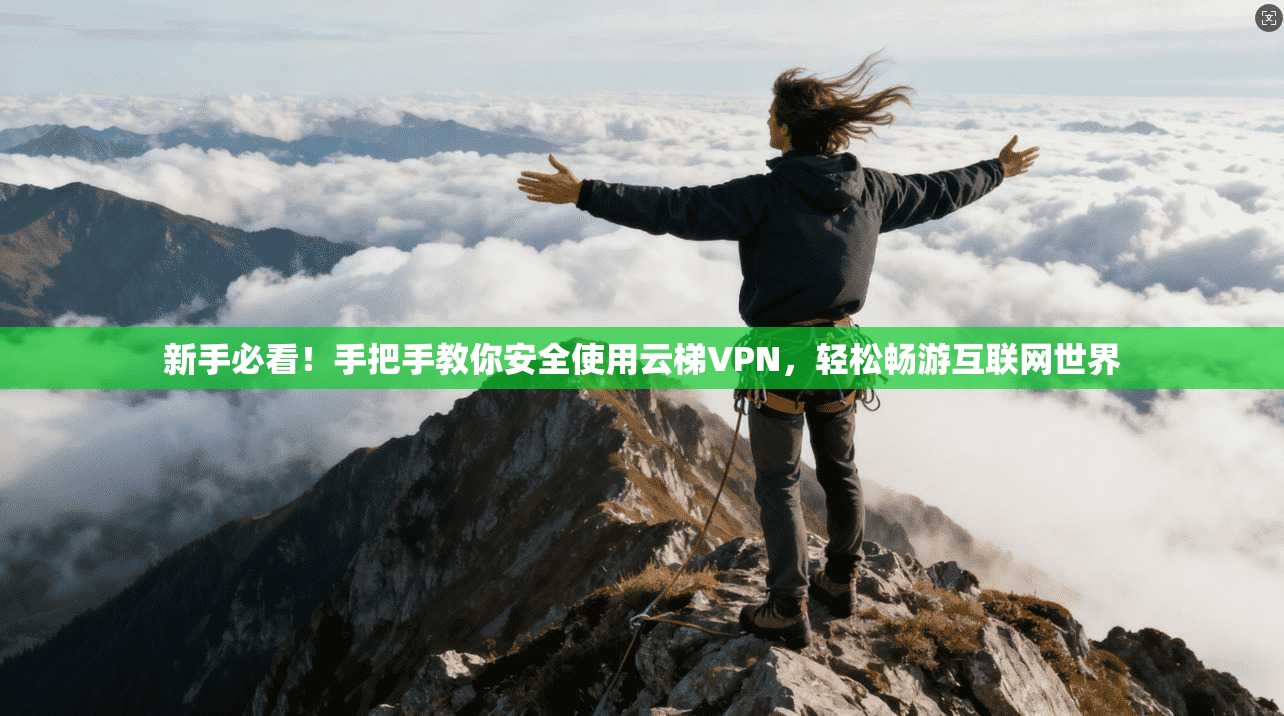 新手必看！手把手教你安全使用云梯VPN，轻松畅游互联网世界
