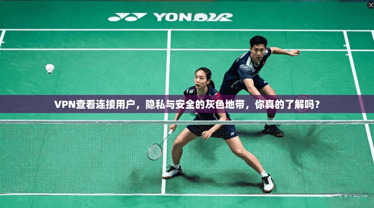 VPN查看连接用户，隐私与安全的灰色地带，你真的了解吗？