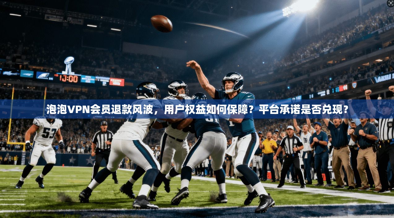 泡泡VPN会员退款风波，用户权益如何保障？平台承诺是否兑现？