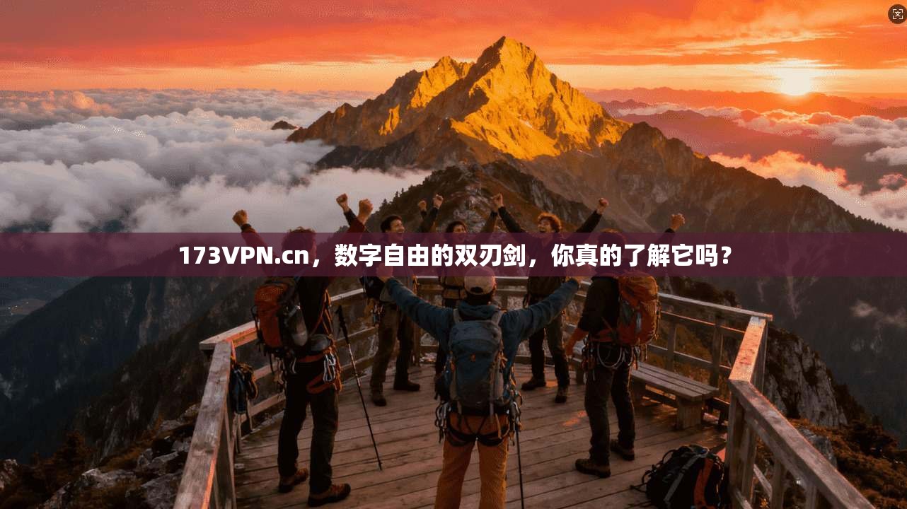 173VPN.cn，数字自由的双刃剑，你真的了解它吗？