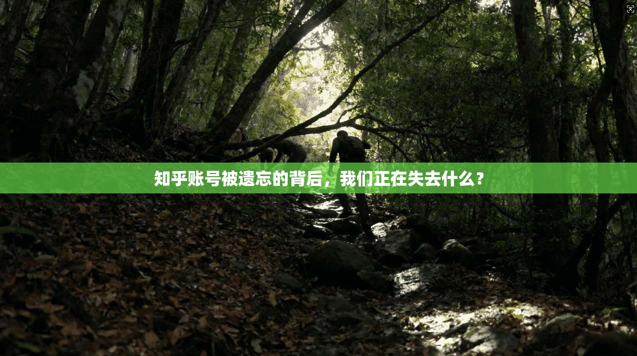 知乎账号被遗忘的背后，我们正在失去什么？