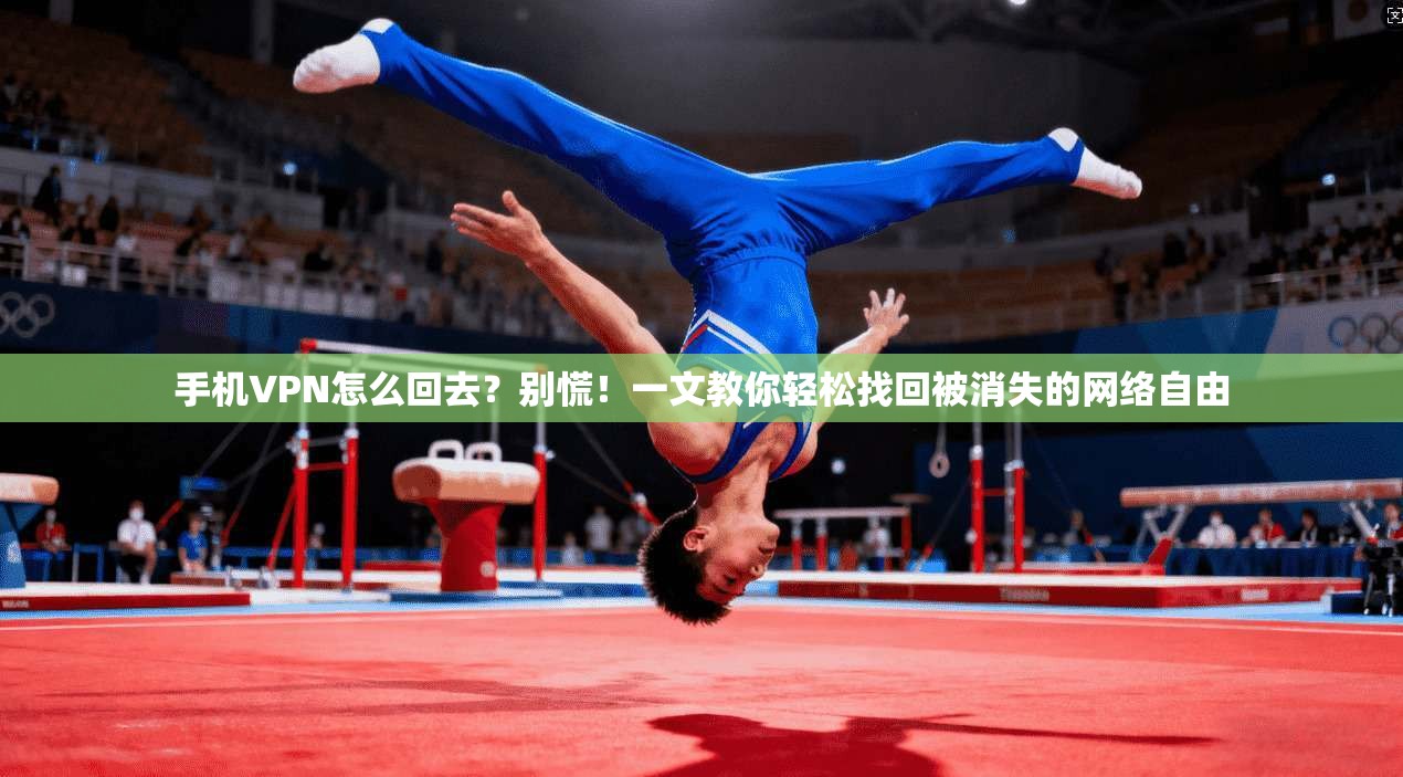 手机VPN怎么回去？别慌！一文教你轻松找回被消失的网络自由