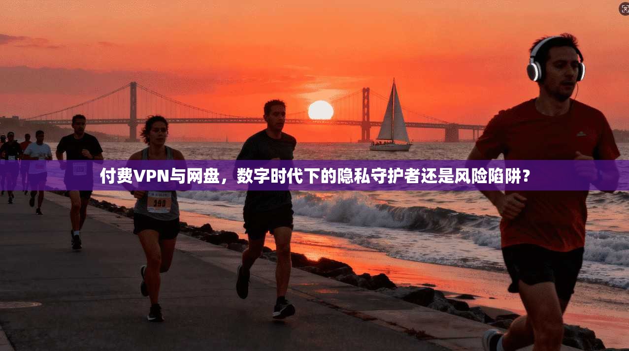 付费VPN与网盘，数字时代下的隐私守护者还是风险陷阱？