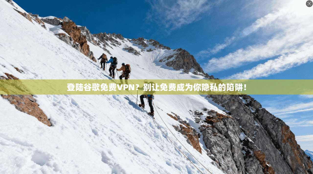 登陆谷歌免费VPN？别让免费成为你隐私的陷阱！