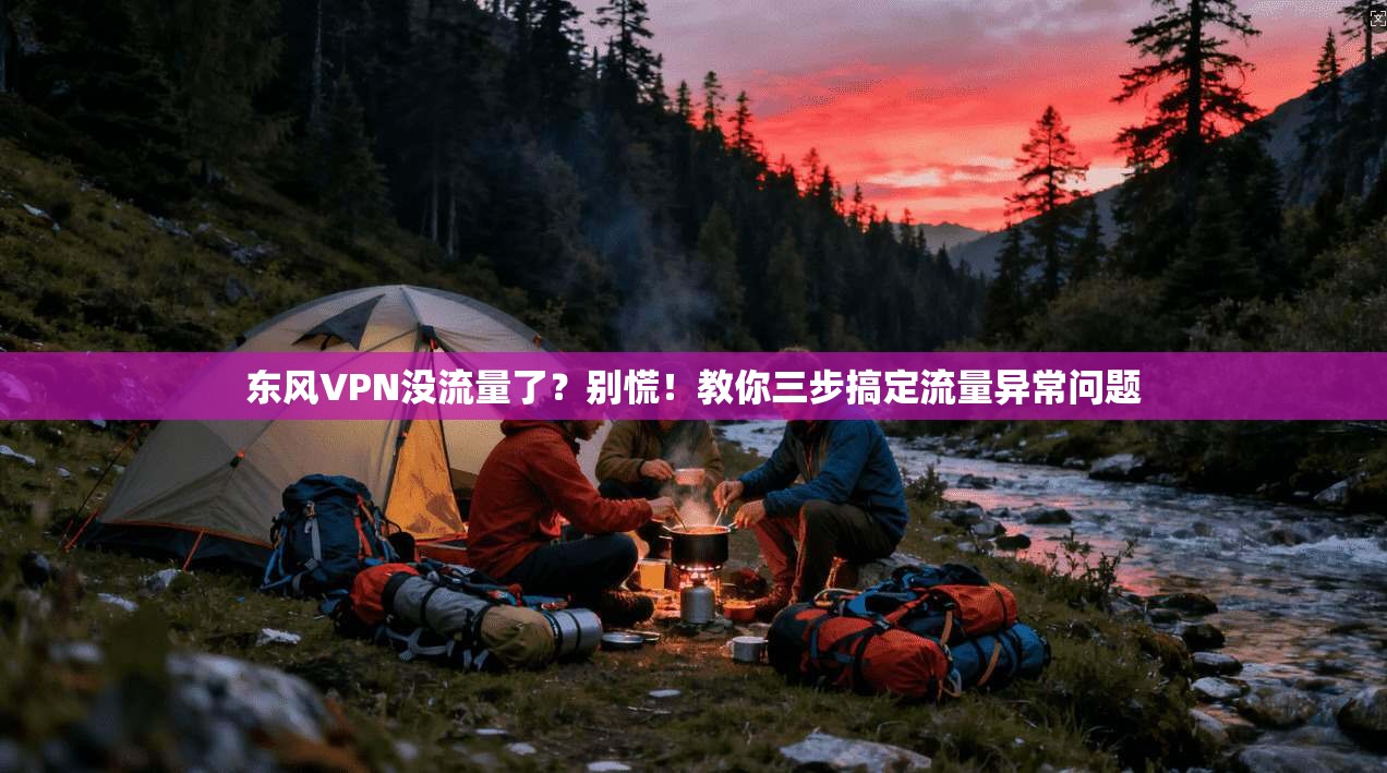 东风VPN没流量了？别慌！教你三步搞定流量异常问题