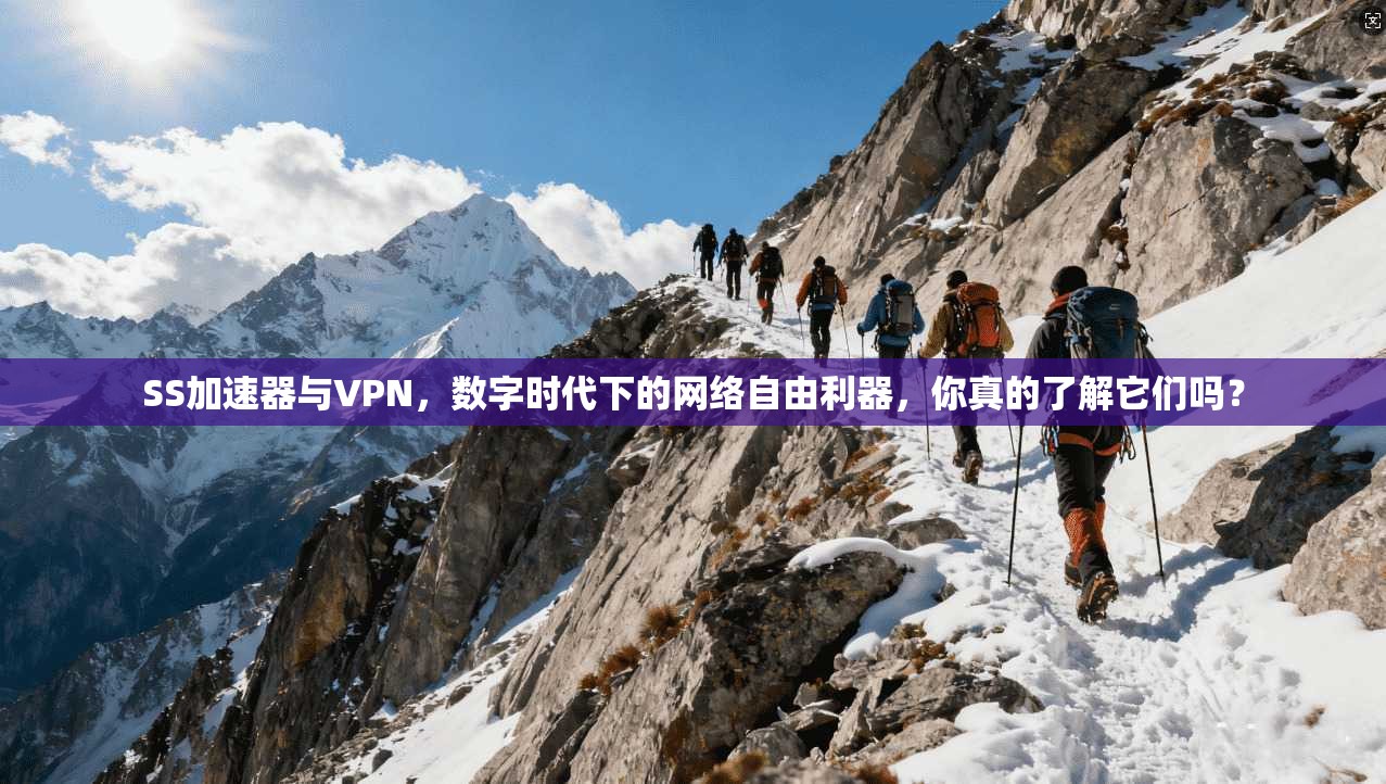 SS加速器与VPN，数字时代下的网络自由利器，你真的了解它们吗？