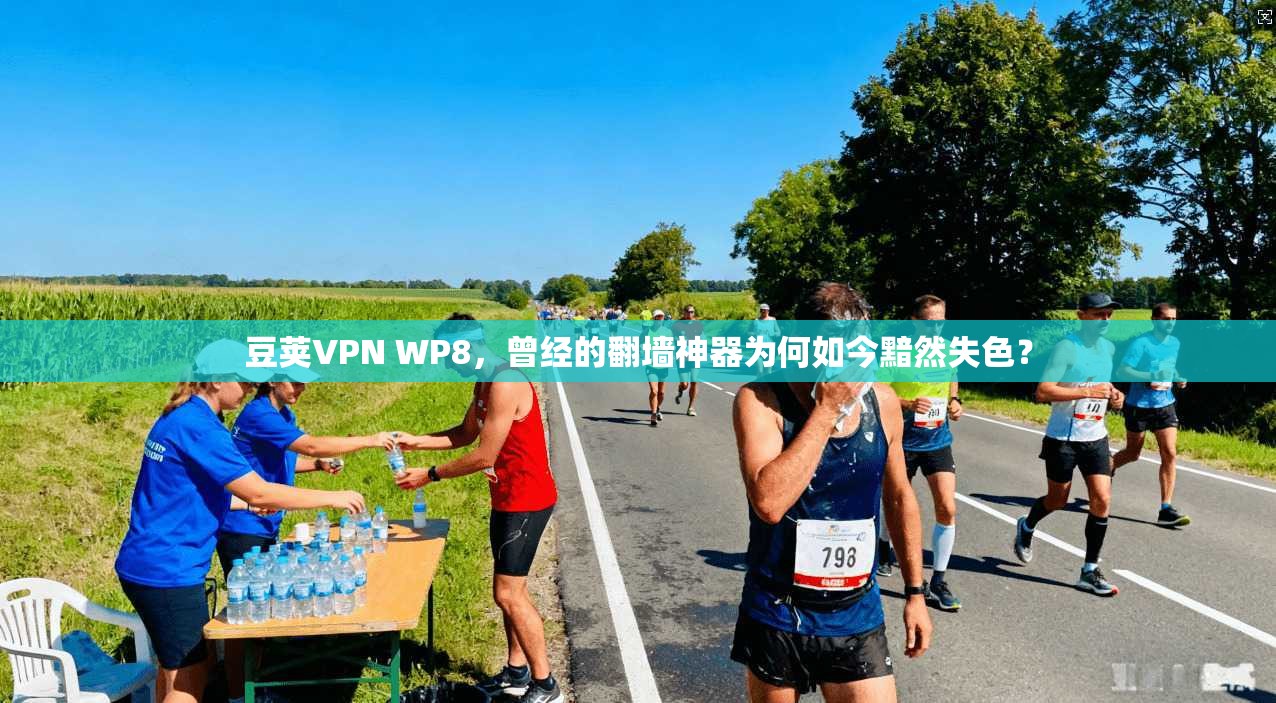 豆荚VPN WP8，曾经的翻墙神器为何如今黯然失色？