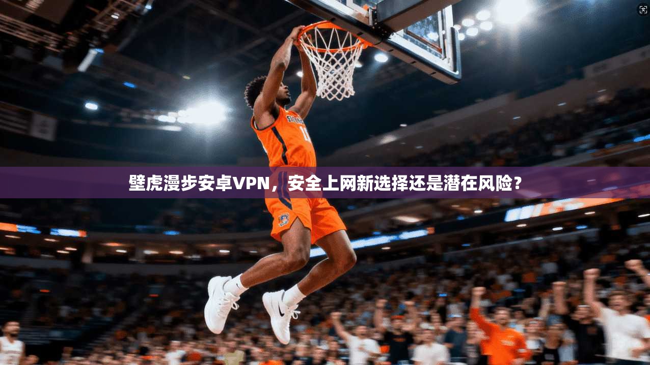 壁虎漫步安卓VPN，安全上网新选择还是潜在风险？