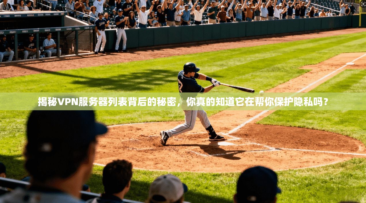 揭秘VPN服务器列表背后的秘密，你真的知道它在帮你保护隐私吗？