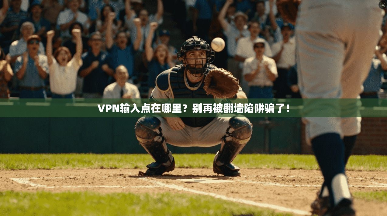 VPN输入点在哪里？别再被翻墙陷阱骗了！