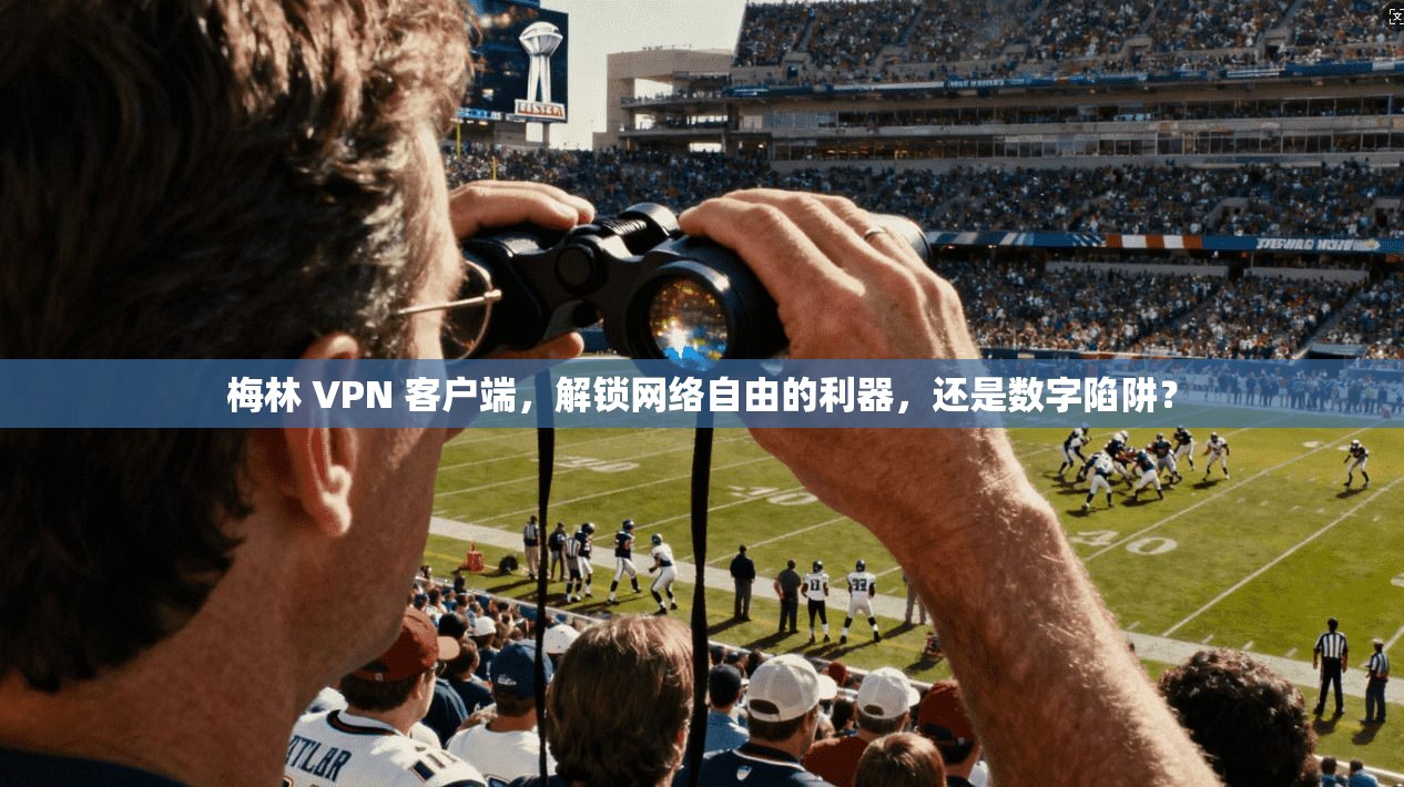 梅林 VPN 客户端，解锁网络自由的利器，还是数字陷阱？