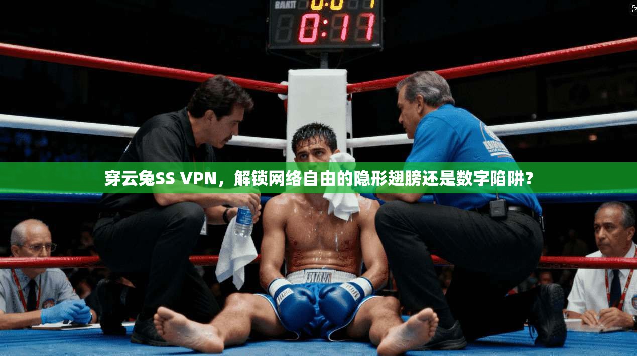 穿云兔SS VPN，解锁网络自由的隐形翅膀还是数字陷阱？