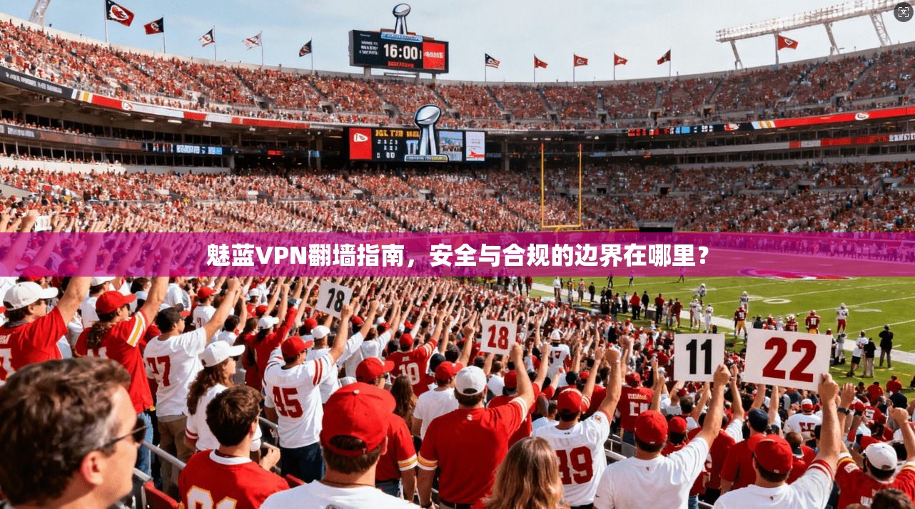魅蓝VPN翻墙指南，安全与合规的边界在哪里？