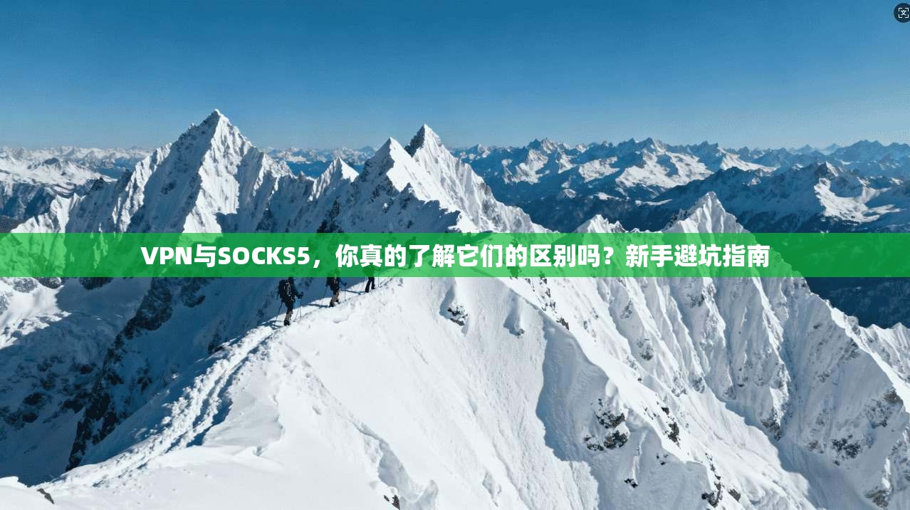 VPN与SOCKS5，你真的了解它们的区别吗？新手避坑指南