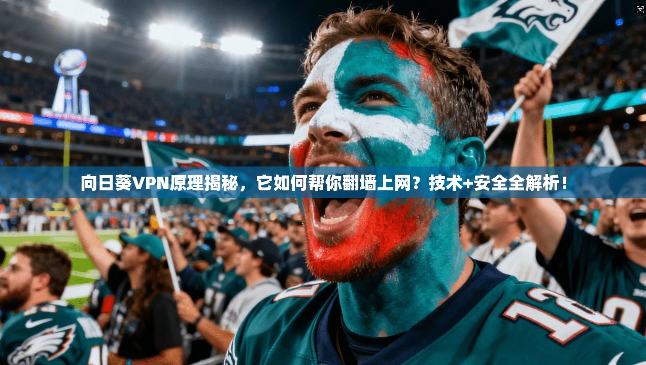 向日葵VPN原理揭秘，它如何帮你翻墙上网？技术+安全全解析！