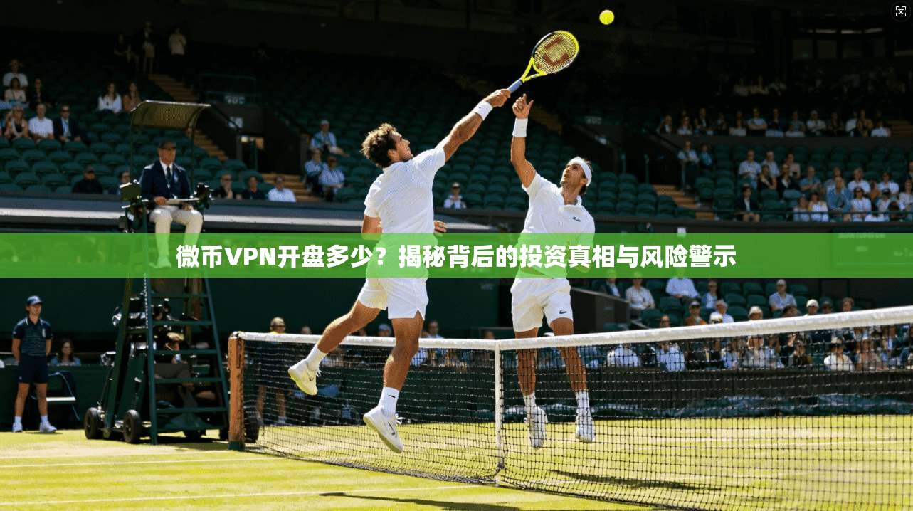 微币VPN开盘多少？揭秘背后的投资真相与风险警示