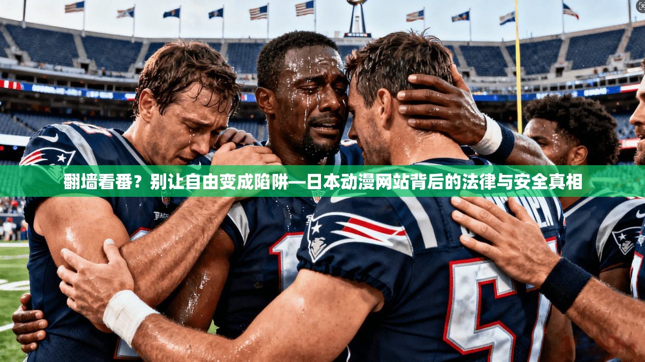 翻墙看番？别让自由变成陷阱—日本动漫网站背后的法律与安全真相