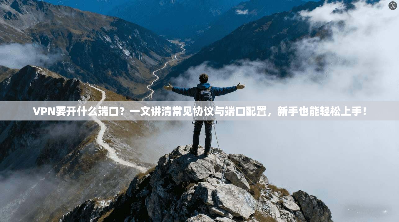 VPN要开什么端口？一文讲清常见协议与端口配置，新手也能轻松上手！