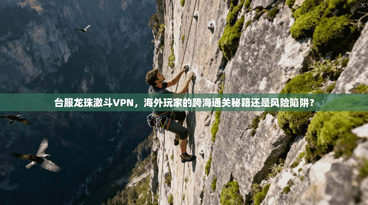 台服龙珠激斗VPN，海外玩家的跨海通关秘籍还是风险陷阱？