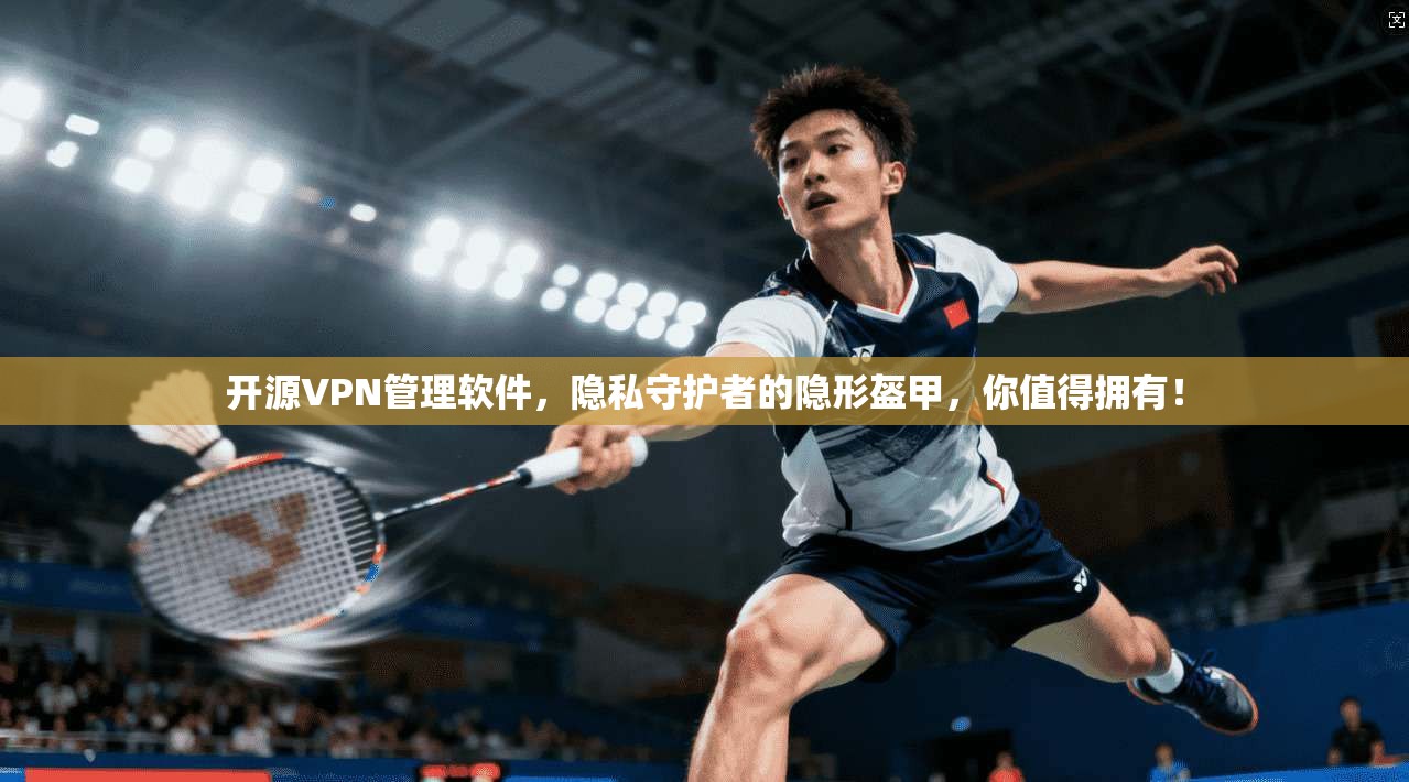开源VPN管理软件，隐私守护者的隐形盔甲，你值得拥有！