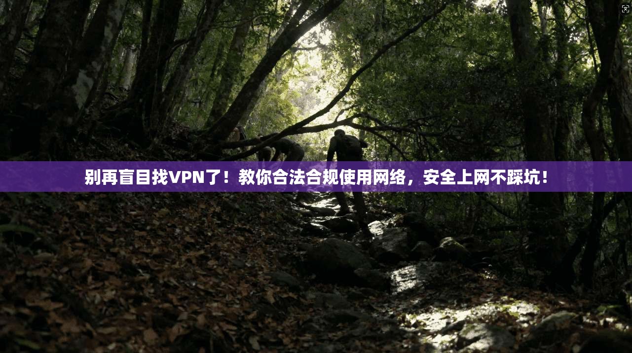 别再盲目找VPN了！教你合法合规使用网络，安全上网不踩坑！